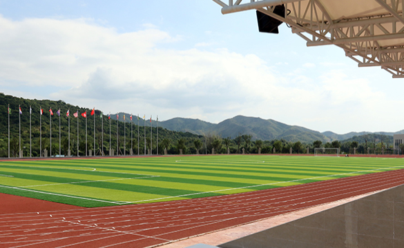 碧桂园十里银滩学校国际高中ALevel课程招生简章