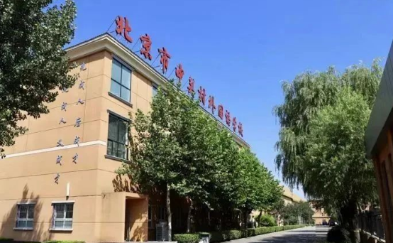 北京中关村外国语学校2025年招生详解：HSC课程、学费及升学路径