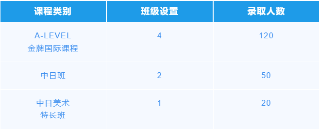 张家港市常青藤实验学校国际部招生计划和要求