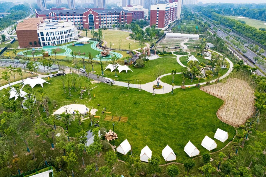 杭州鼎文学校2025年秋季高中部招生计划