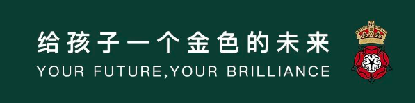 南京金地未来学校喜报｜A-level大考放榜，金地学子荣耀而归