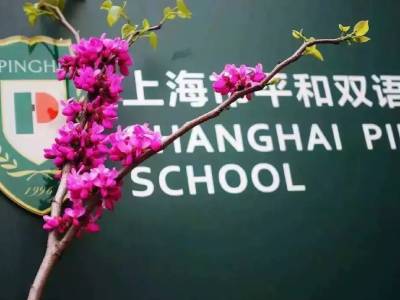 上海市青浦平和双语学校报名中