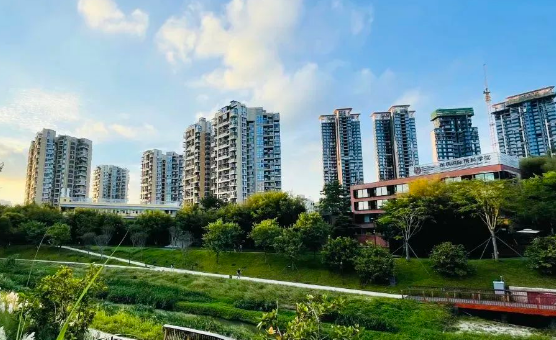 深圳IPC国际校区2025秋招：幼儿园至初中少量名额，课程特色全解析