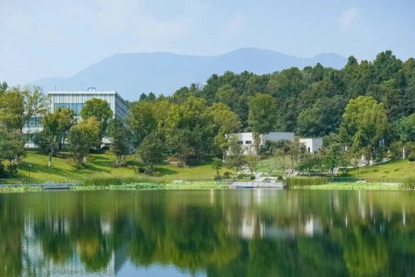 杭州威雅学校2025年秋季高中部招生计划