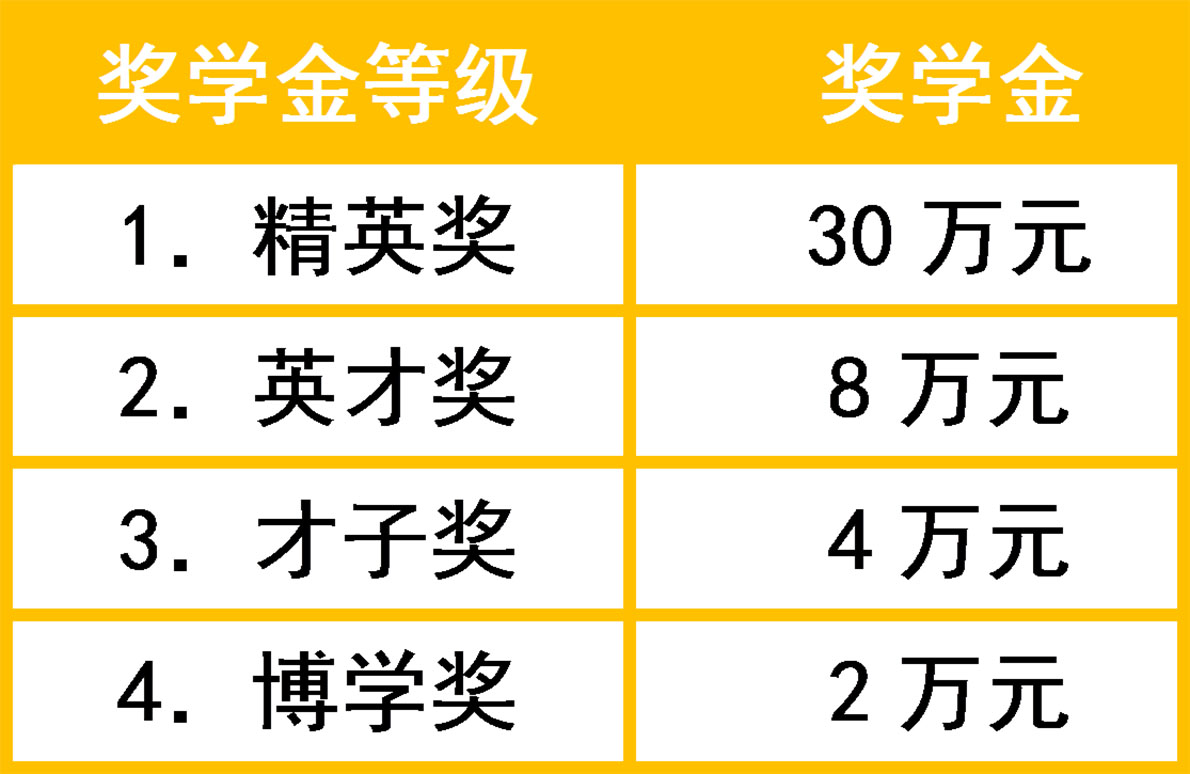 武汉海淀外国语实验学校国际高中奖学金发放政策