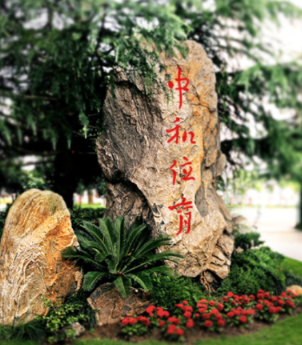 上海西南位育中学国际部